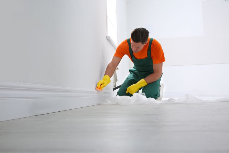 Baseboards Painting